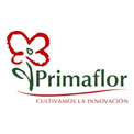 Primaflor