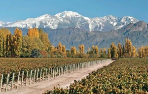 Viñas, y Los Andes presidiendo