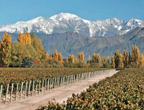 MENDOZA EN OTOÑO